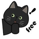 黑猫加速器